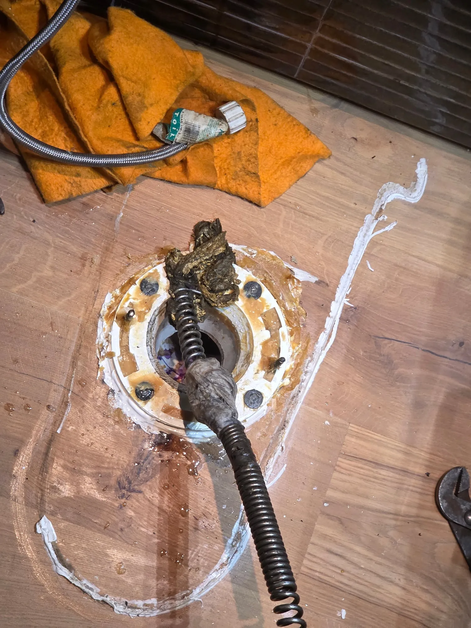 Drain cable coming out of a toilet flange with debris on the head